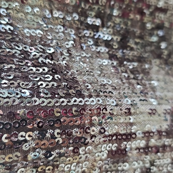 NWT Free People Gold Rush Long Sleeve Lustrous Sequin Top XL - Picture 4 of 14